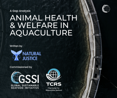 Research Publication